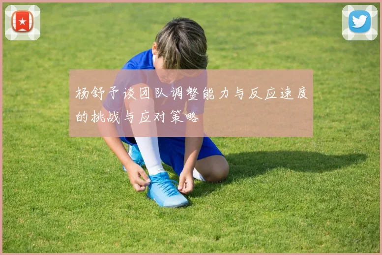 杨舒予谈团队调整能力与反应速度的挑战与应对策略