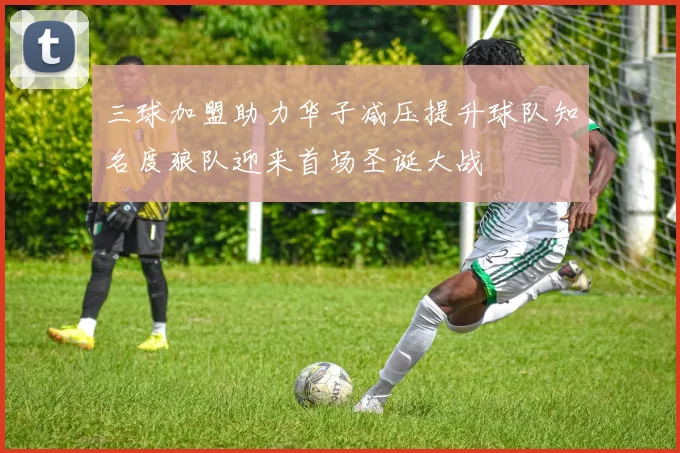 三球加盟助力华子减压提升球队知名度狼队迎来首场圣诞大战